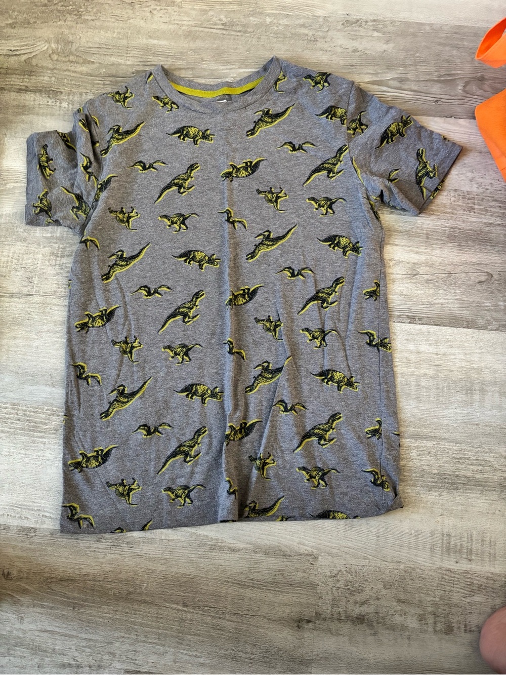 Kids Gray Dinosaur Print Short Sleeve Tee